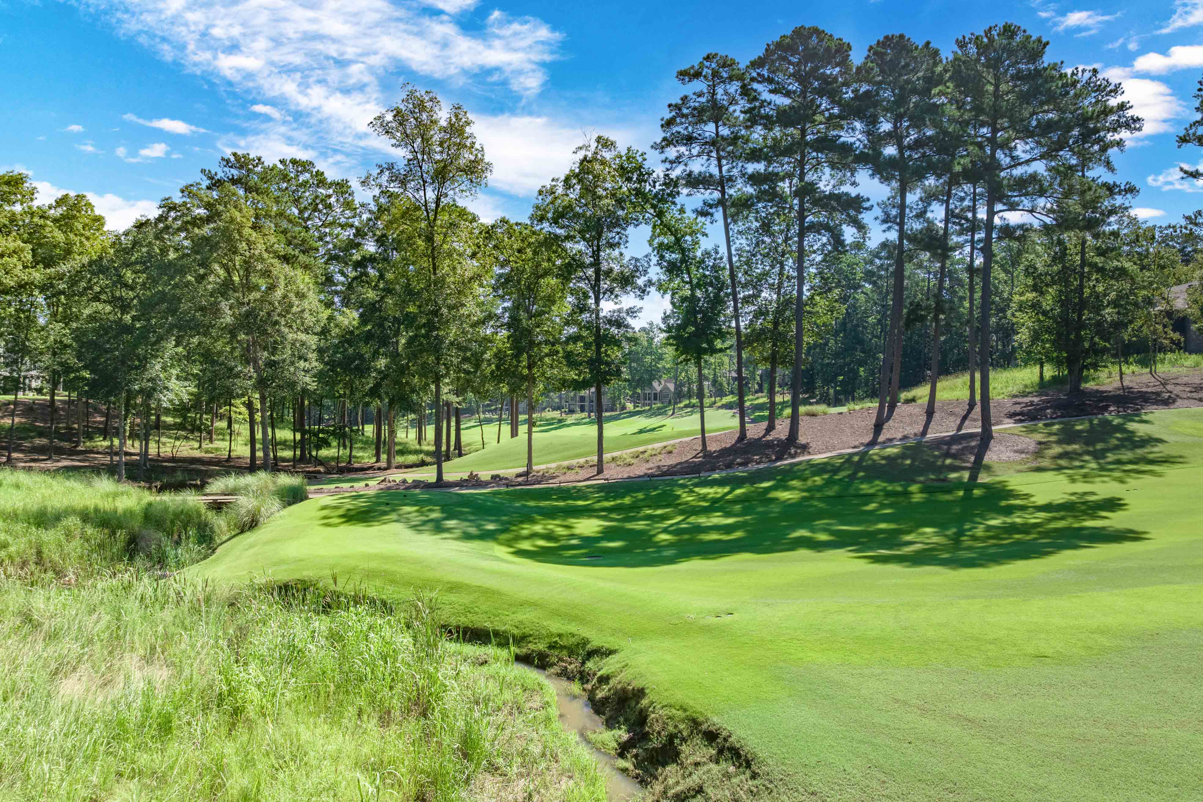 1040 Woodmont Ct. image 40